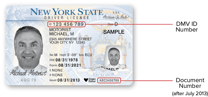 NY DMV Sample Document Number