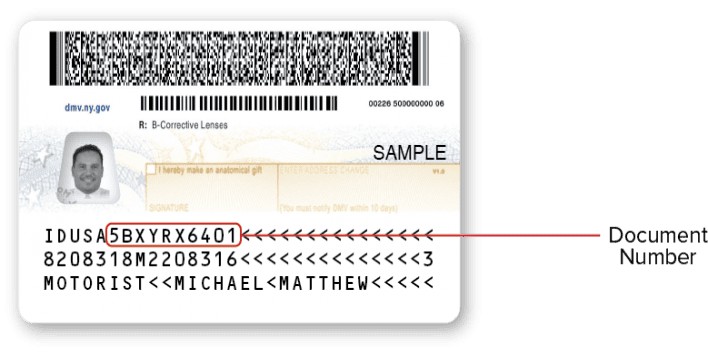 NY DMV Sample Document Number